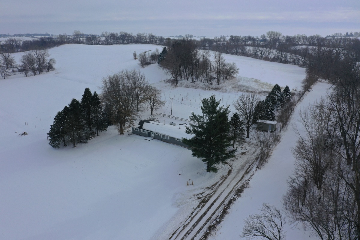 Photo 43