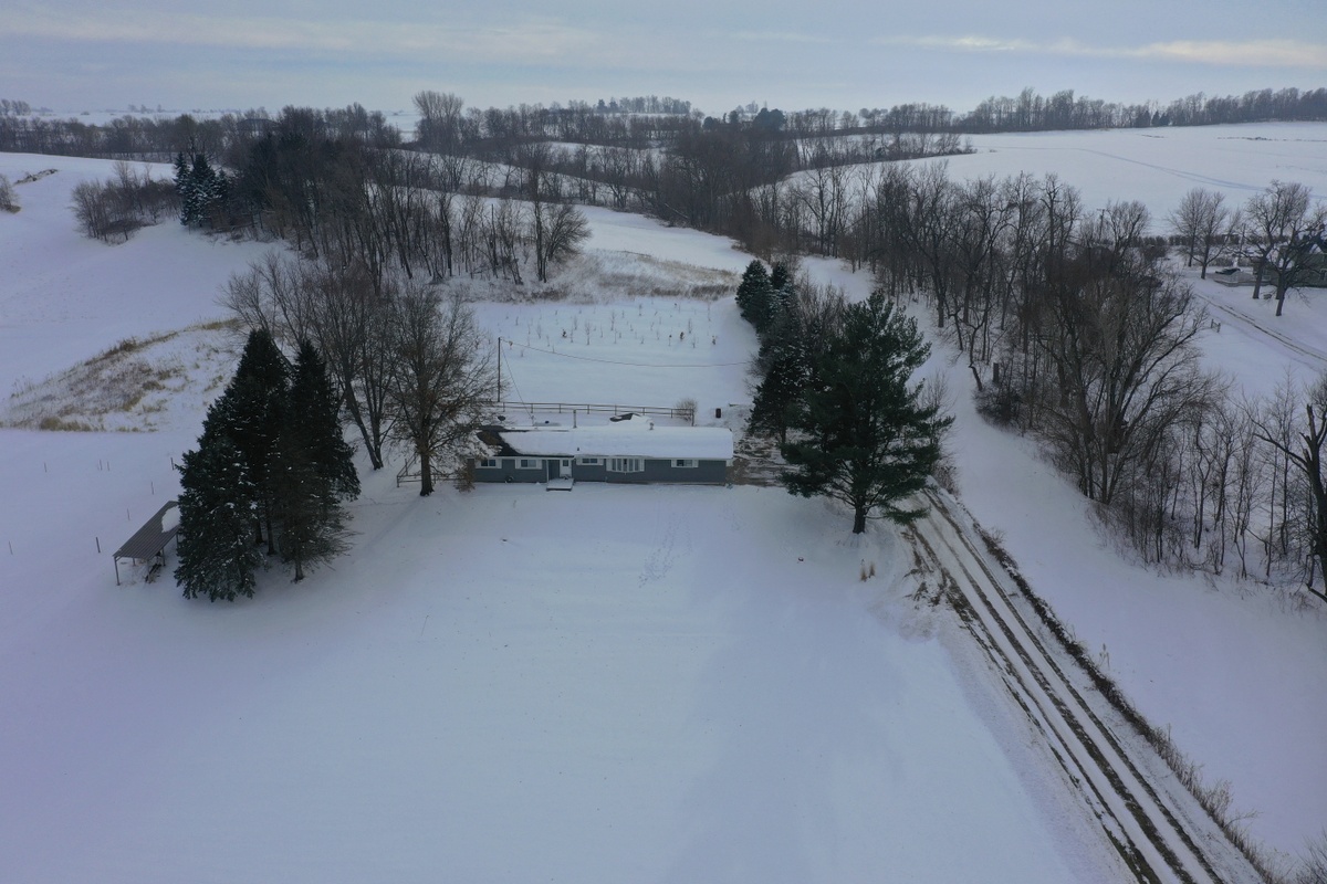 Photo 44